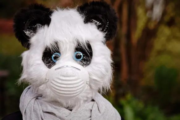 Oppa88888888 Kasino Tuki